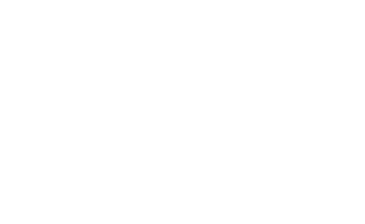 Amelecbol S.R.L.